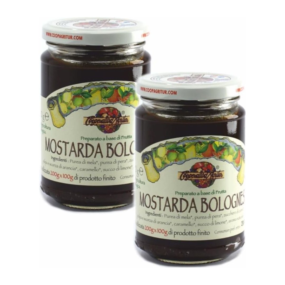 Mostarda Bolognese Bio 2x360g