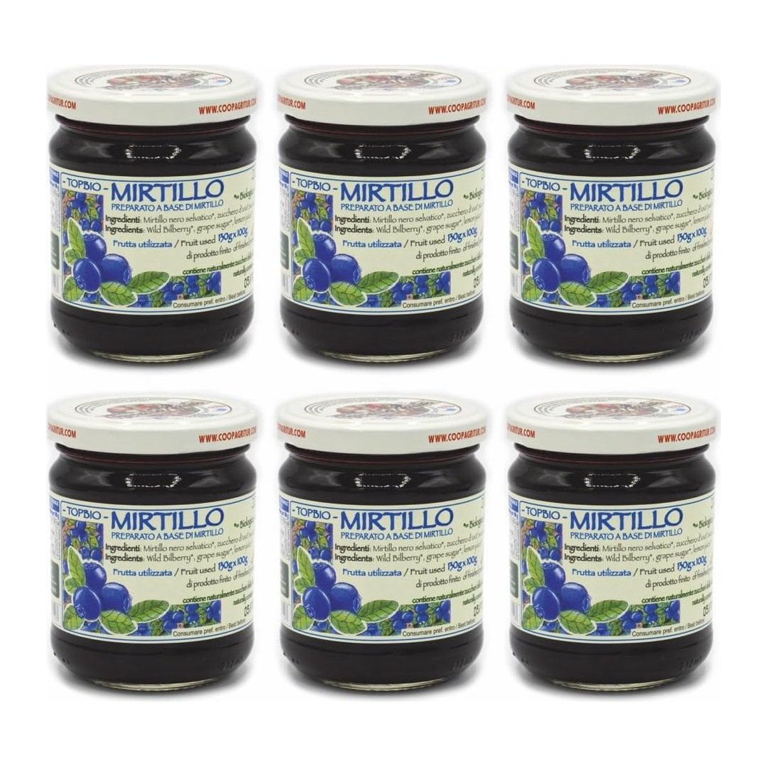 Composta Mirtillo Nero Selvatico Bio 6x210g