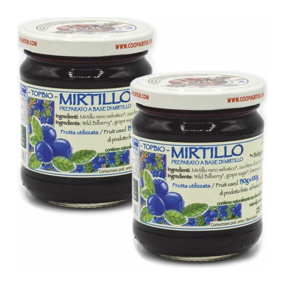 Composta Mirtillo Nero Selvatico Bio 2x210g